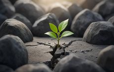 Article Image for Startup Survival Strategies in Competitive Sectors